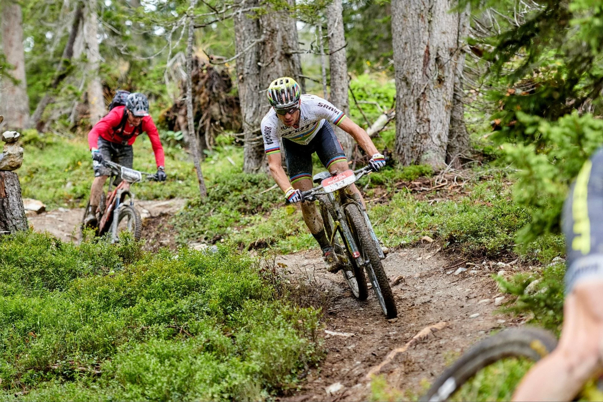 Rennräder importe boutique -Rennräder importe boutique 118158830 10158293449330211 1040984742020786806 n