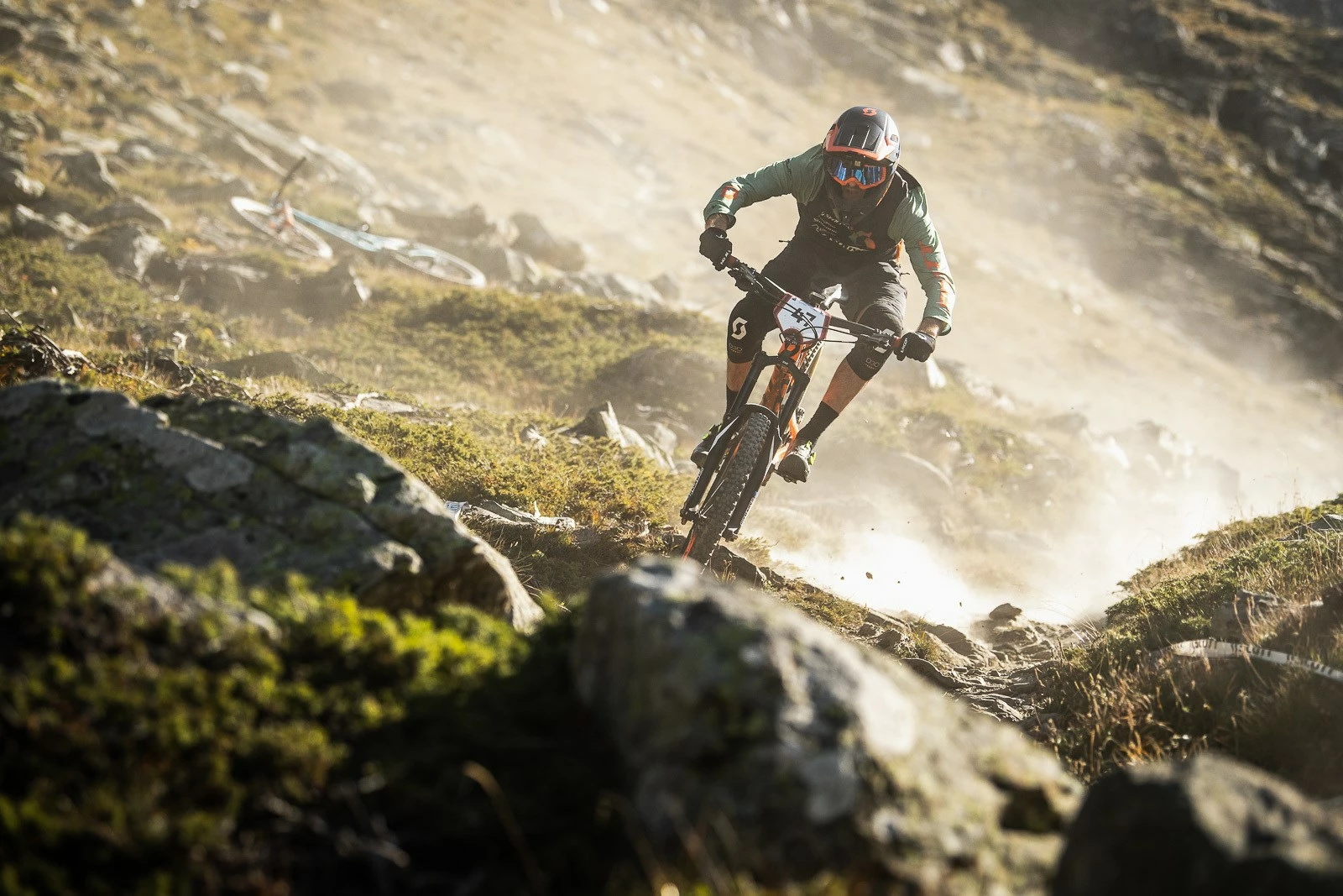 Rennräder importe boutique -Rennräder importe boutique 72121481 10157263643765211 673931354299170816 n